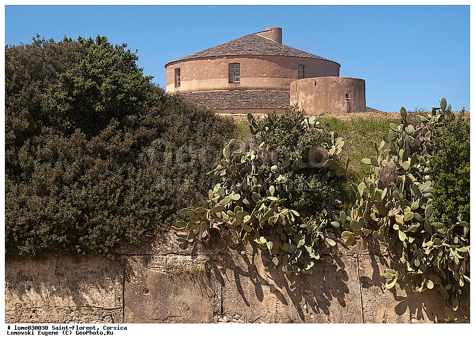 ���-������, �������, ��������, �������