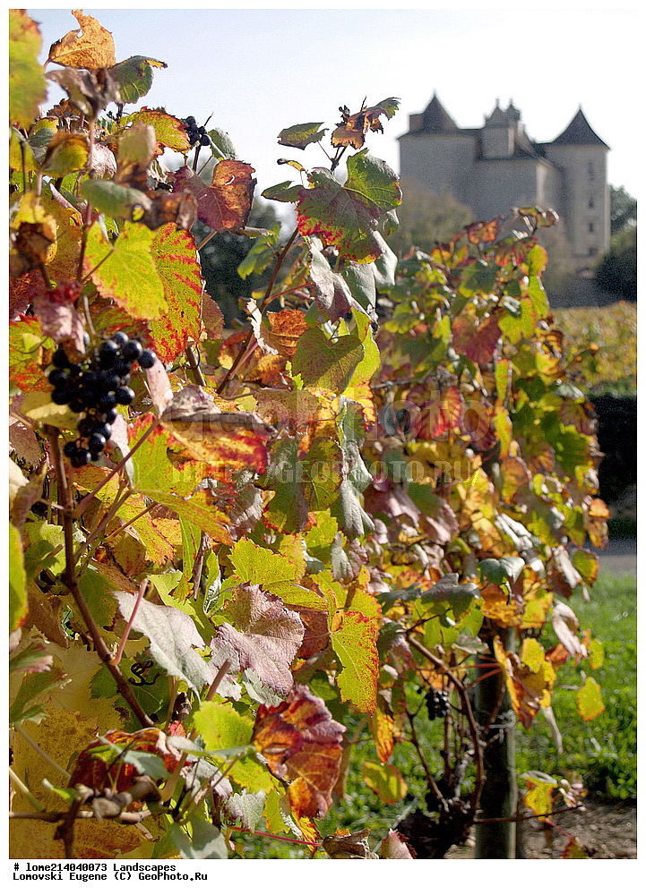 ����, ��������, �����, �������