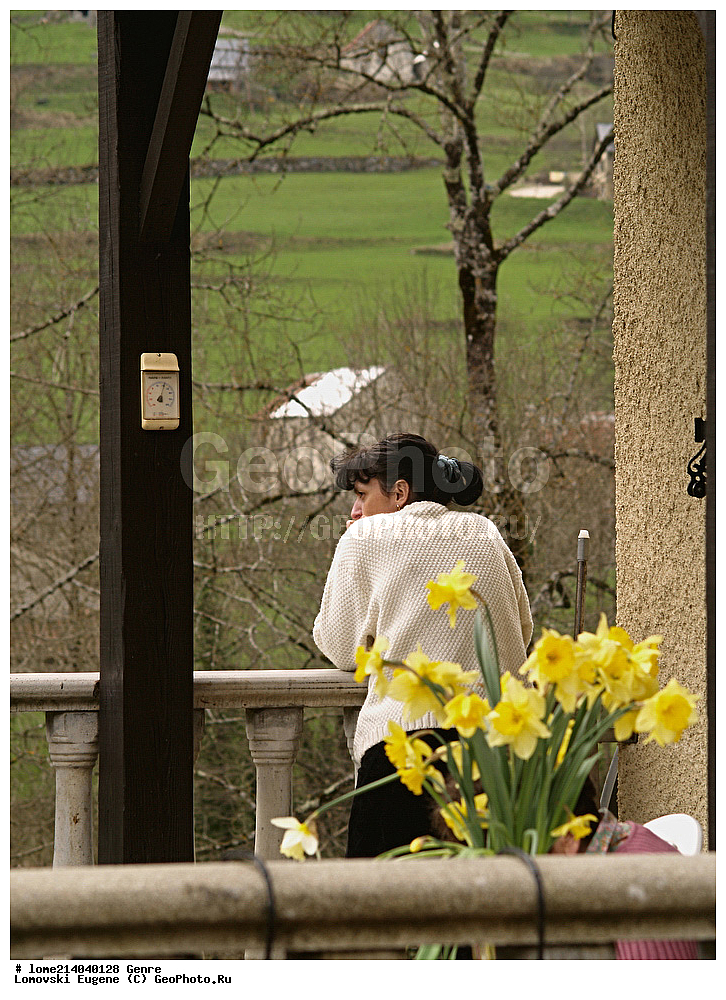 �������, �����, �������