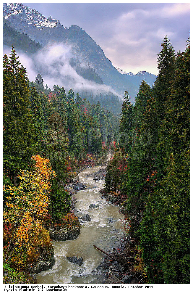 ������, ���������-���������, �������, 2011, ������, �������� ������, ����, ������ ��������