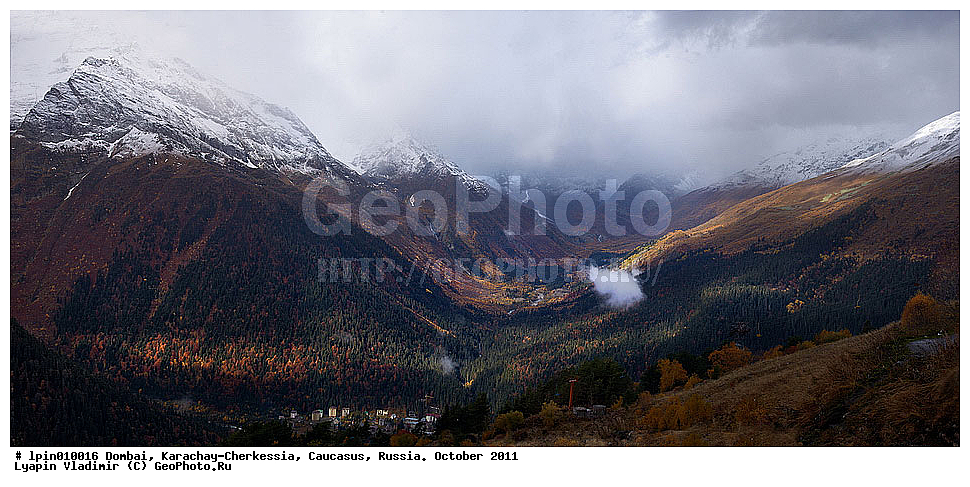 ������, ���������-���������, �������, 2011, ������, �������� ������, ����, ������ ��������