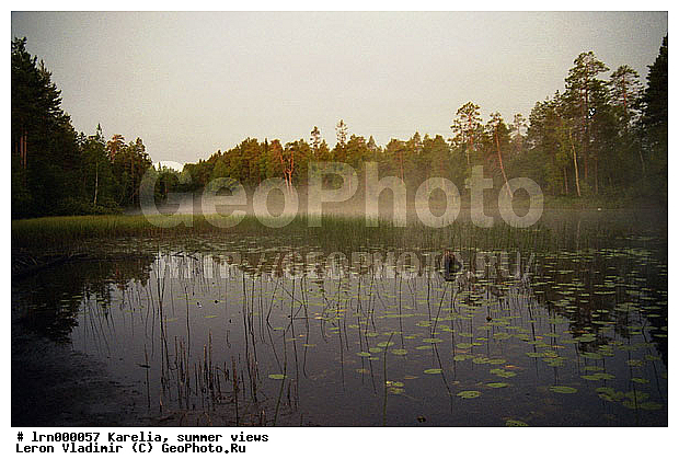 �������, ����