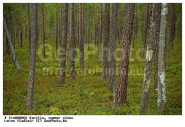 �������, ����