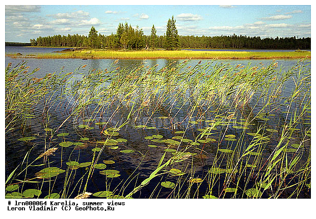 �������, ����