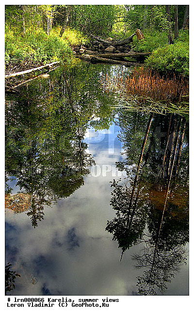 �������, ����