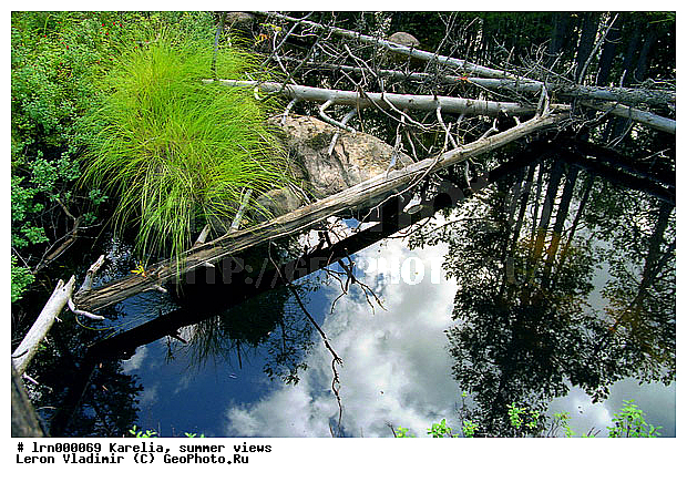 �������, ����