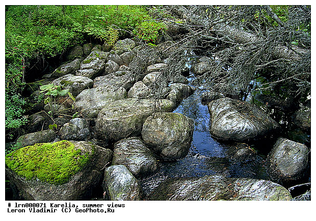 �������, ����