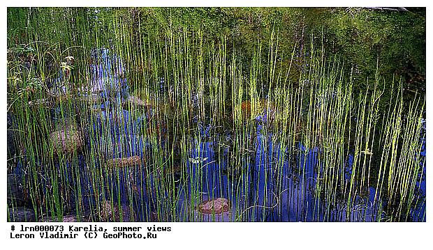 �������, ����