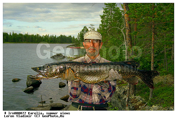 �������, ����