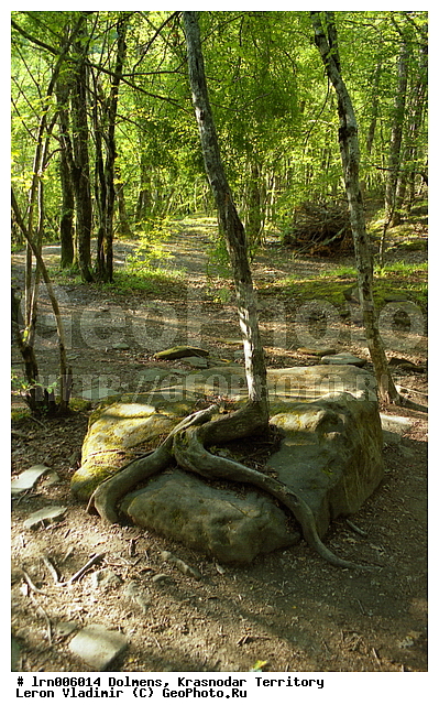 ������������� ����, �������, �������