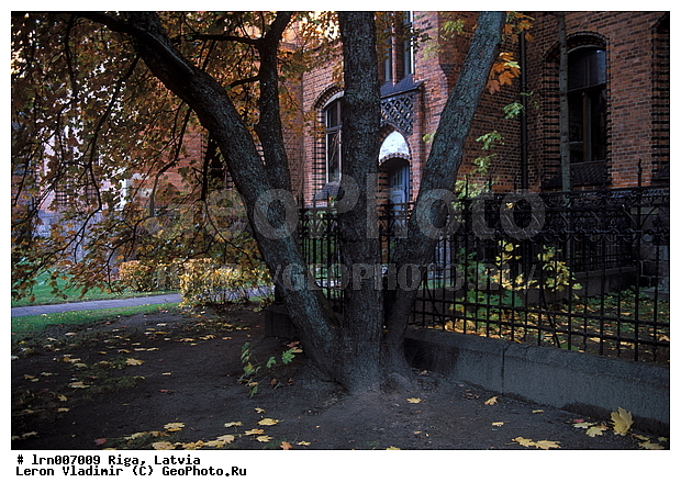 �������� ���������, ������, ����, �����, ����������, �������