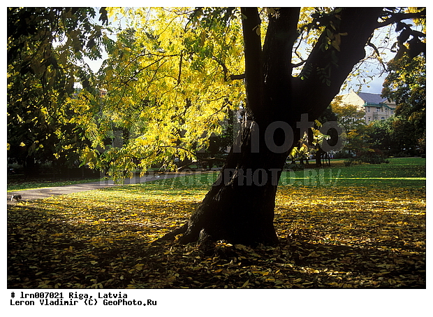 ������, ����, ��������� ����, �����, ����������, �������