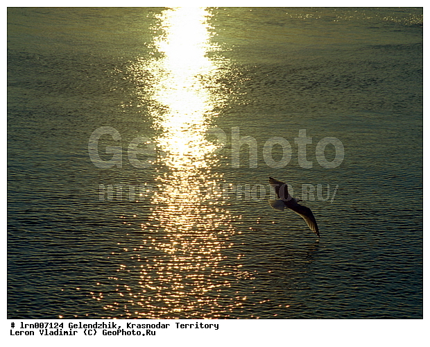 ���������, ������������� ����, �����, ����� ��� �����