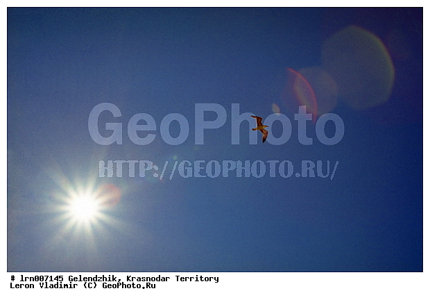 ���������, ������������� ����, ����, ������, �����