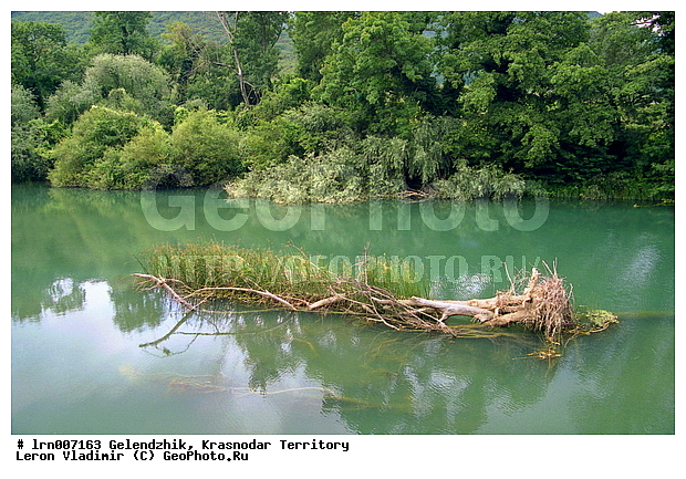 ���������, ������������� ����, ���� �����