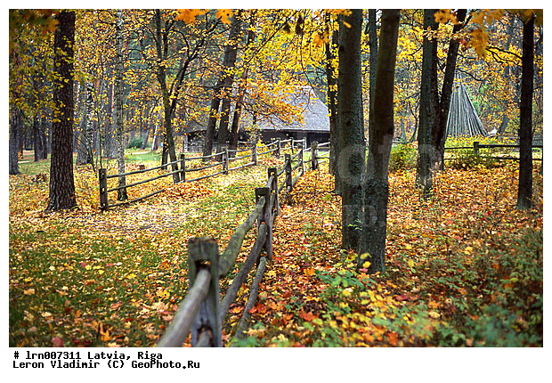 �������, ������, ������, ����, ���� �����, ����������� ������, �������, ���������� ���������, ���, ������� ������, ������� ������, �����, ����������, �������, ����, ����, �����, �����, ��������������� �����