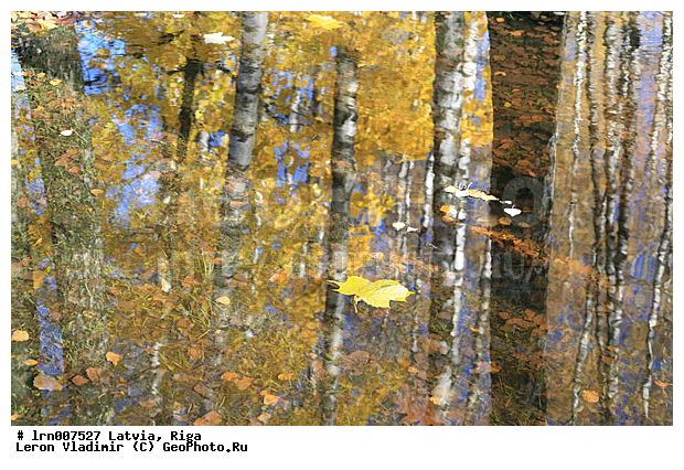 �������, ������, ������, �����, ����, ������, �����, ������� ������, ��������� � ����, ������, ����������, �������, ����