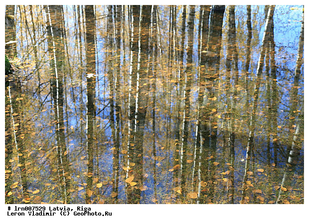 �������, ������, ������, �����, ����, ������, �����, ������� ������, ��������� � ����, ������, ����������, �������, ����