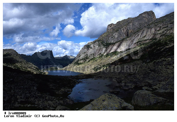 �����, ����, ������