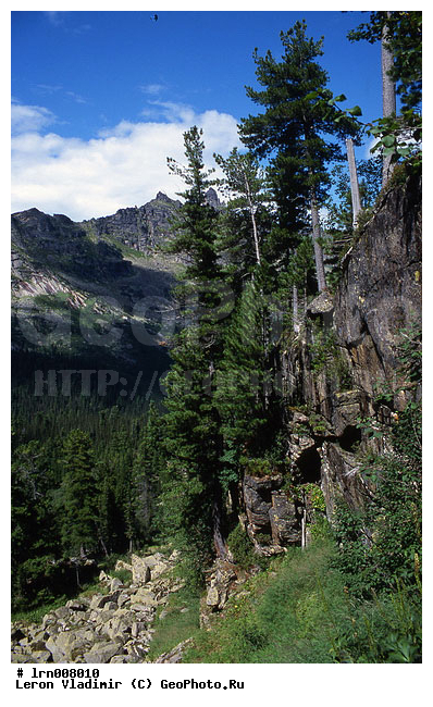 �����, ����, ������