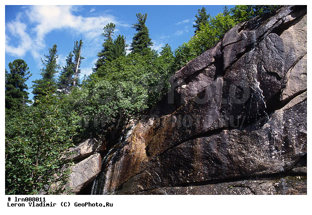 �����, ����, ������