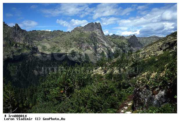 �����, ����, ������