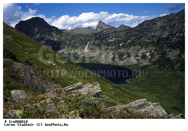 �����, ����, ������