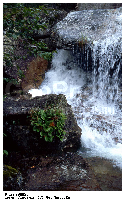 �����, ����, ������