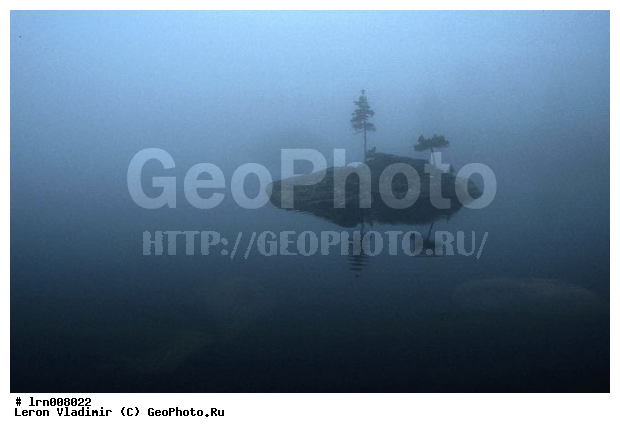 �����, ����, ������