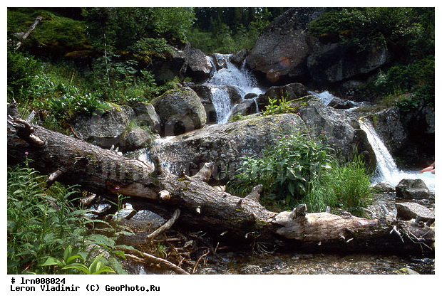 �����, ����, ������