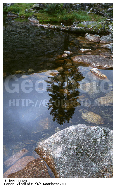 �����, ����, ������