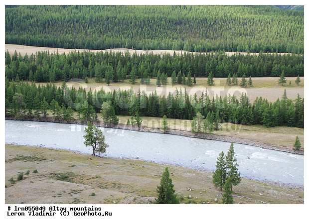 �����, �������� ������, ������ �����, ����, ���, ����, ������, �������, ������