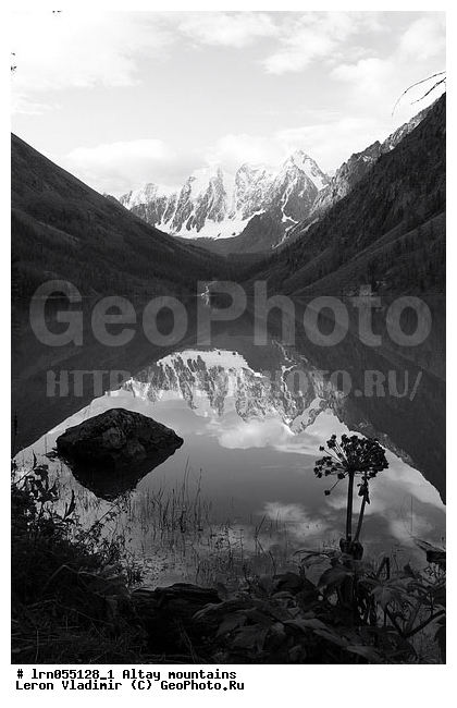 �����, �������� ������, ���������� �����, ������ �����, ����, ����, ������, �������, ������