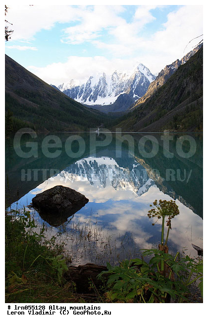 �����, �������� ������, ���������� �����, ������ �����, ����, ����, ������, �������, ������