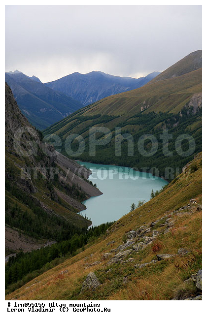 �����, �������� ������, ���������� �����, ������ �����, ����, ����, ������, �������, ������