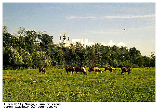 �������, ����