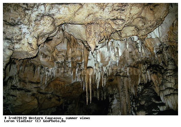 �������� ������, ������, ��������, ����, �����