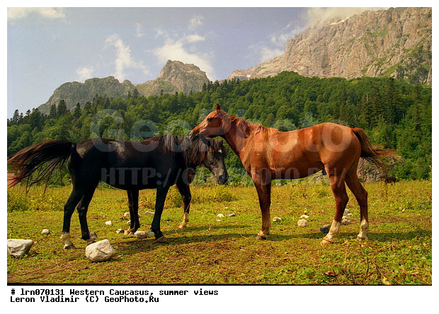 �������� ������, ������, ��������, ����, �����