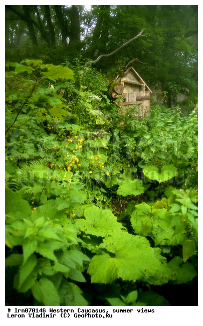 �������� ������, ������, ��������, ����, �����