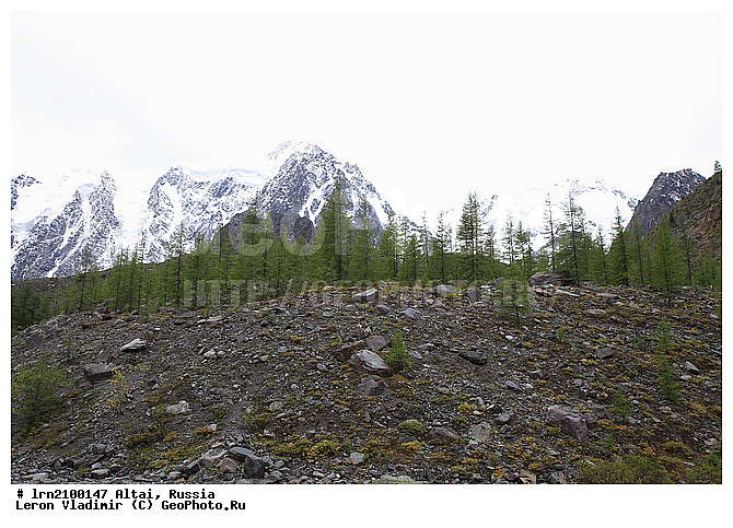 �����, ������-�������?�-�����, ����, ���� ������-�������?�-�����, ����