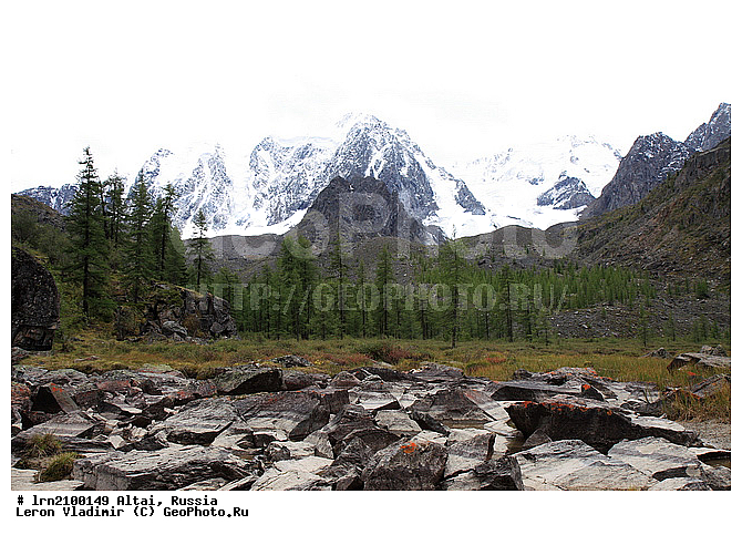 �����, ������-�������?�-�����, ����, ���� ������-�������?�-�����, ����