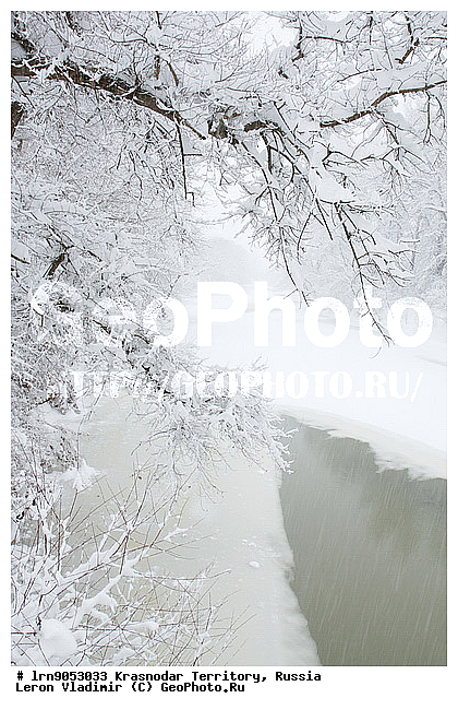 ������������� ����, ����, ����, ������, �������, ����, ���� ����