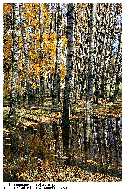 �������, ������, ������, �����, ����, �����, ������� �����, ���, ����, ������� ������, ������, ����������, �������