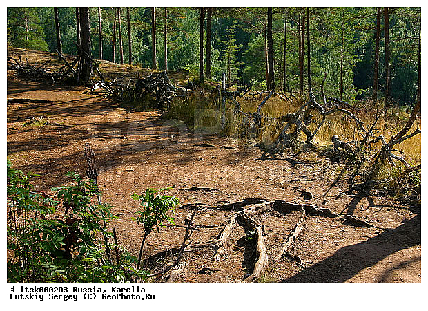 ������, ��������� �����, ������, ������ ������