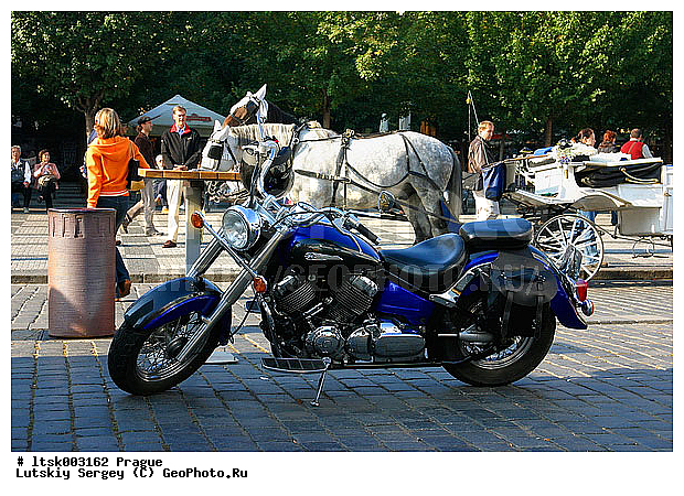 �����, �����, �����������, ����, ���������, �����, ������, ����, ������ ������, ������, ��������, ������