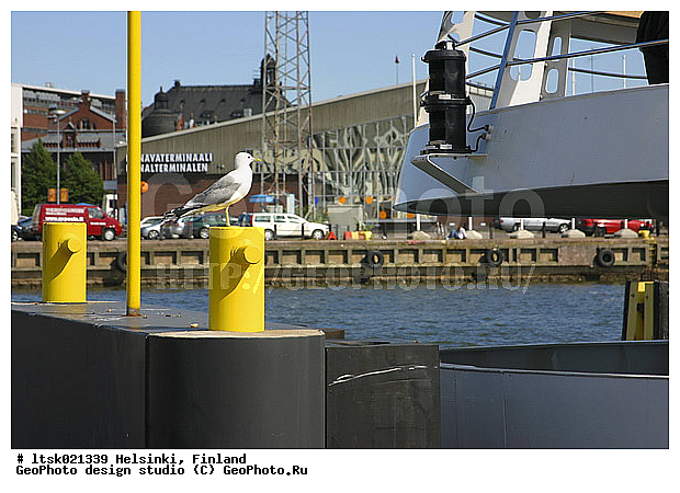 ���������, �����, ��������, �����