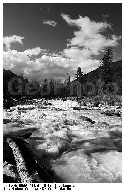 �����, �������� ������, ������, ���������, ������ ��������, ������ ������, ���� ������, ��������, ����