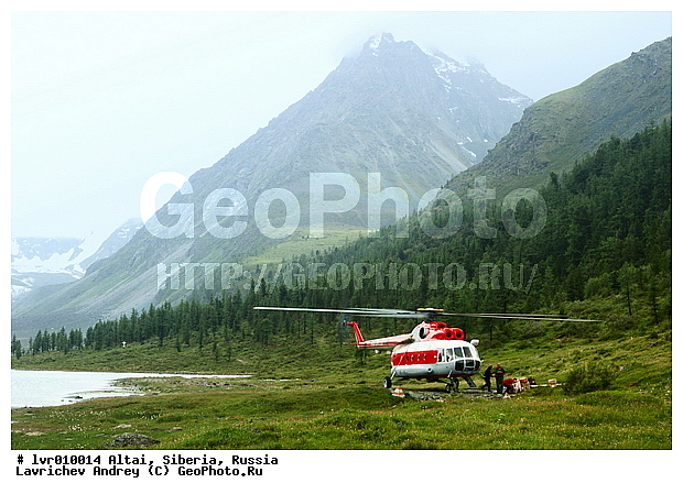 �����, �������� ������, ������, ���������, ������ ��������, ������ ������, ���� ������, ��������, ����