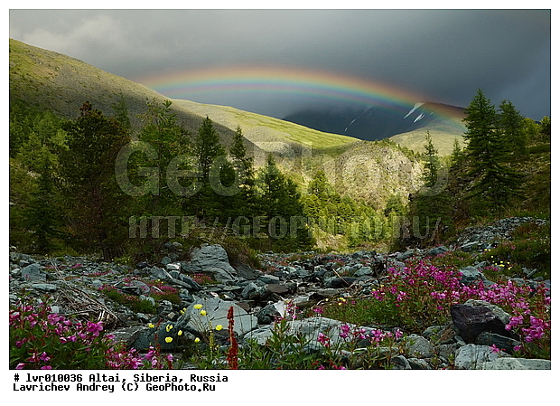 �����, �������� ������, ������, ���������, ������ ��������, ������ ������, ���� ������, ��������, ����