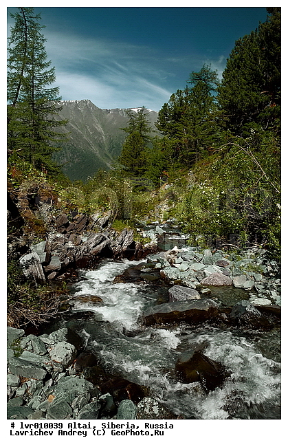 �����, �������� ������, ������, ���������, ������ ��������, ������ ������, ���� ������, ��������, ����